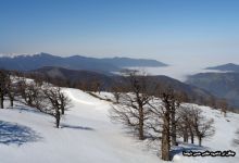 گزارش تصویری  از اولین برف جنگل ابر